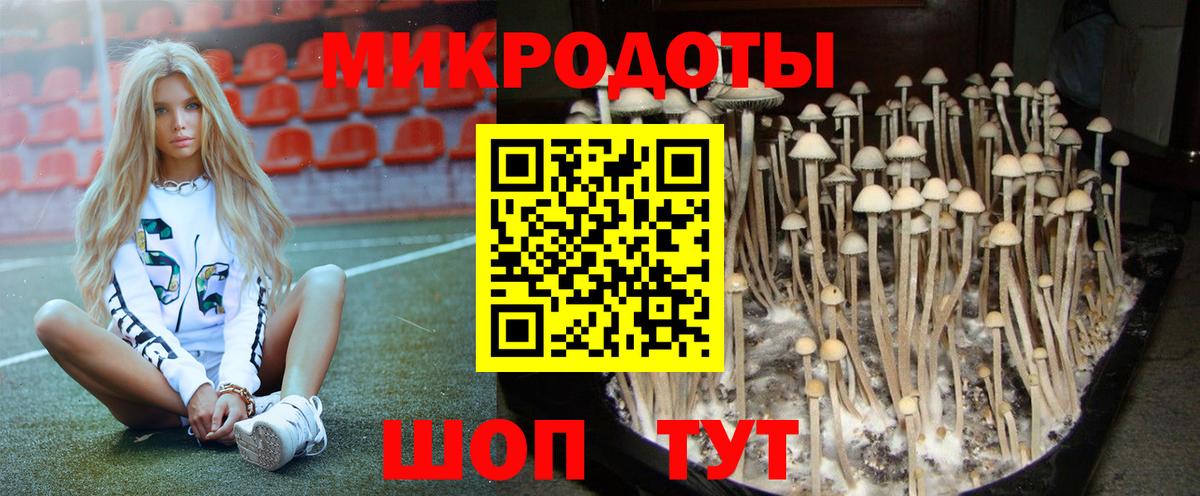 Серов  Галлюциногенные грибы мухоморы  Вход с VPN  Псилоцибиновые грибы мухоморы 